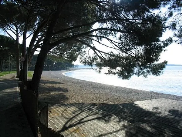 Apartment In Fazana With Balcony, Air Conditioning, W-Lan,Washing Machine 229-1 0*,  Croatia
